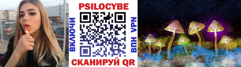 ссылка на мегу ONION  купить   Новокубанск  Псилоцибиновые грибы Magic Shrooms 